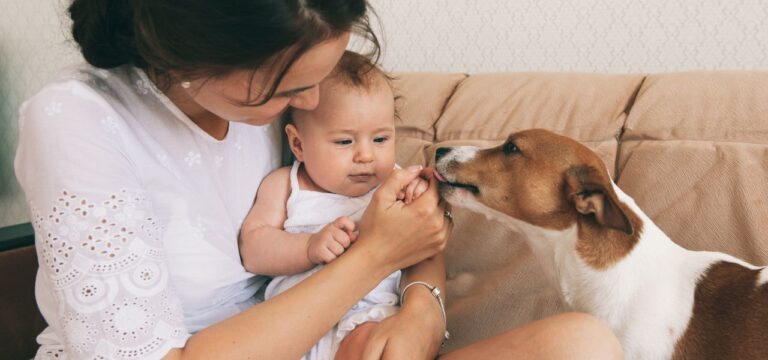 Como Escolher um Pet Ideal para Crianças