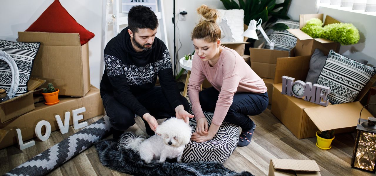 Mudança de Casa com Pets: Como Reduzir o Estresse