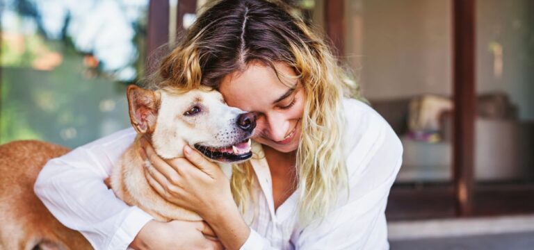 Como Socializar Seu Pet com Outros Animais e Pessoas