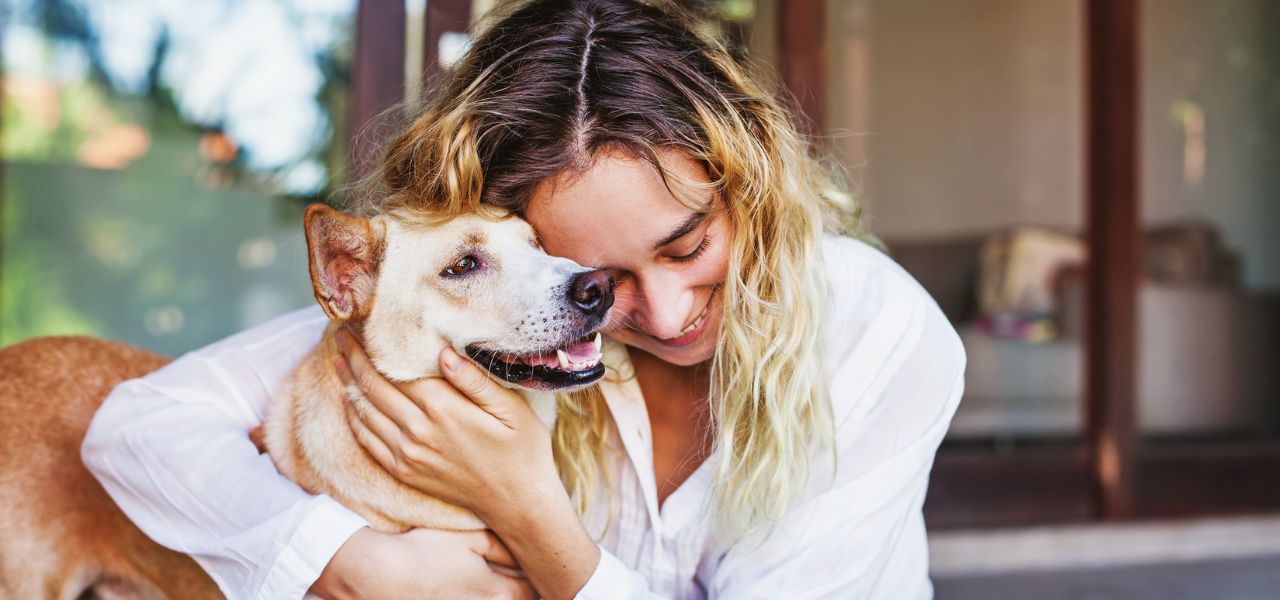 Como Socializar Seu Pet com Outros Animais e Pessoas